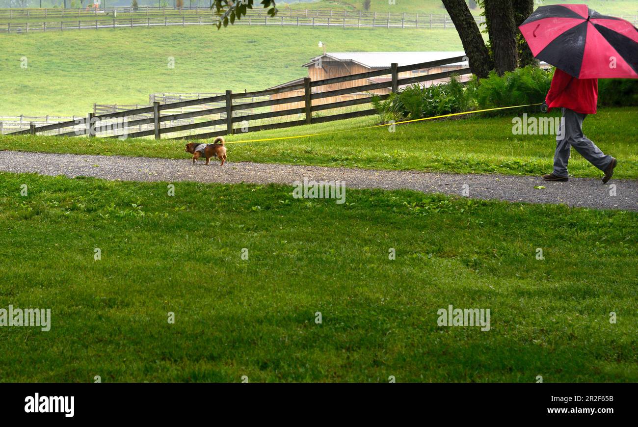 Jogger und Hundefreunde können den beliebten Virginia Creeper Trail in Abingdon, Virginia, besuchen. Stockfoto