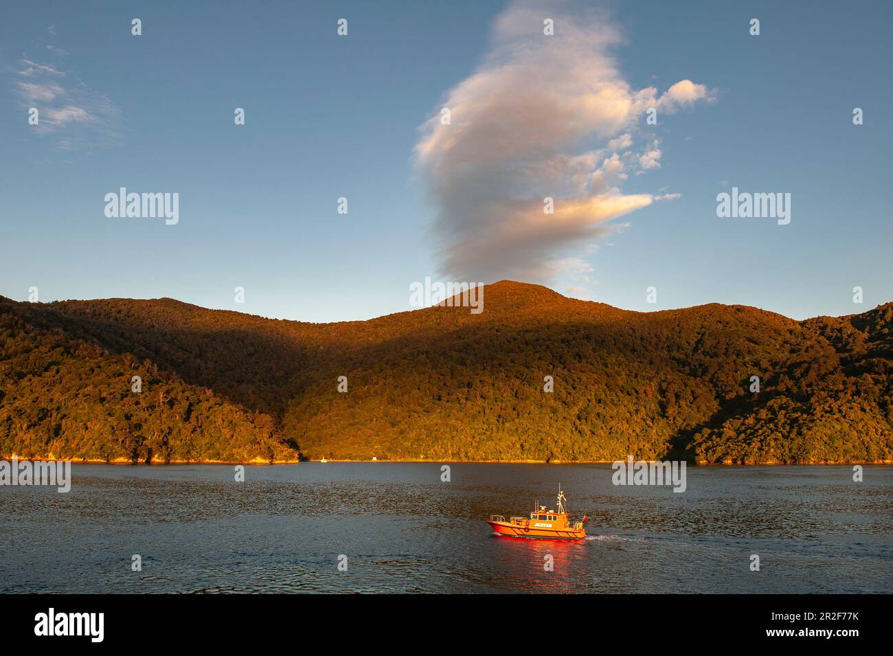 Ein Pilotboot fährt im späten Nachmittagslicht gegen bewaldete Hügel und eine seltsame Wolkenformation, Marlborough Sounds, South Island, Neuseeland Stockfoto