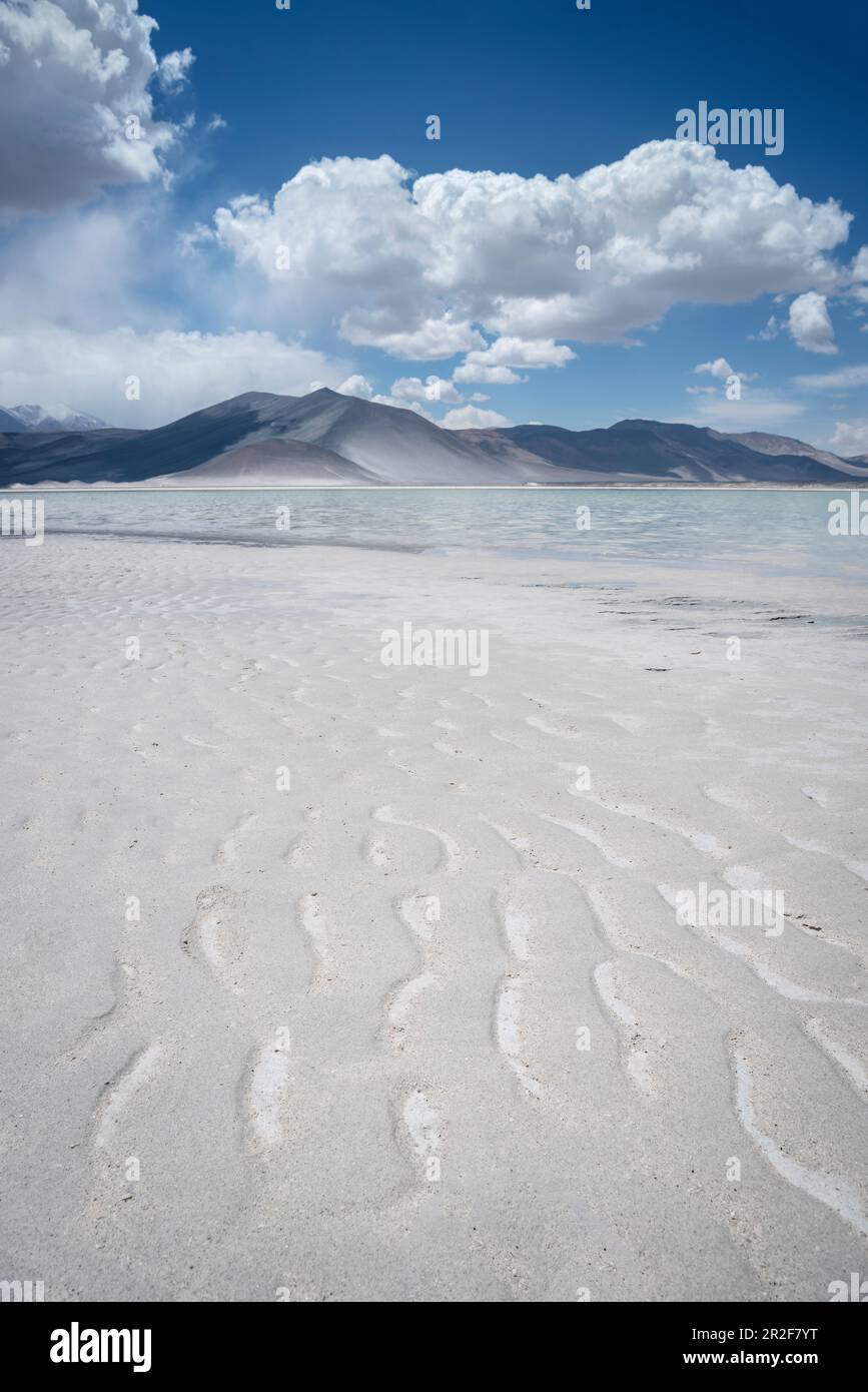 Piedras Rojas Lagune, Altiplanicas Lagune, Altiplano Plateau, Atacama Wüste, Antofagasta Region, Chile, Südamerika Stockfoto