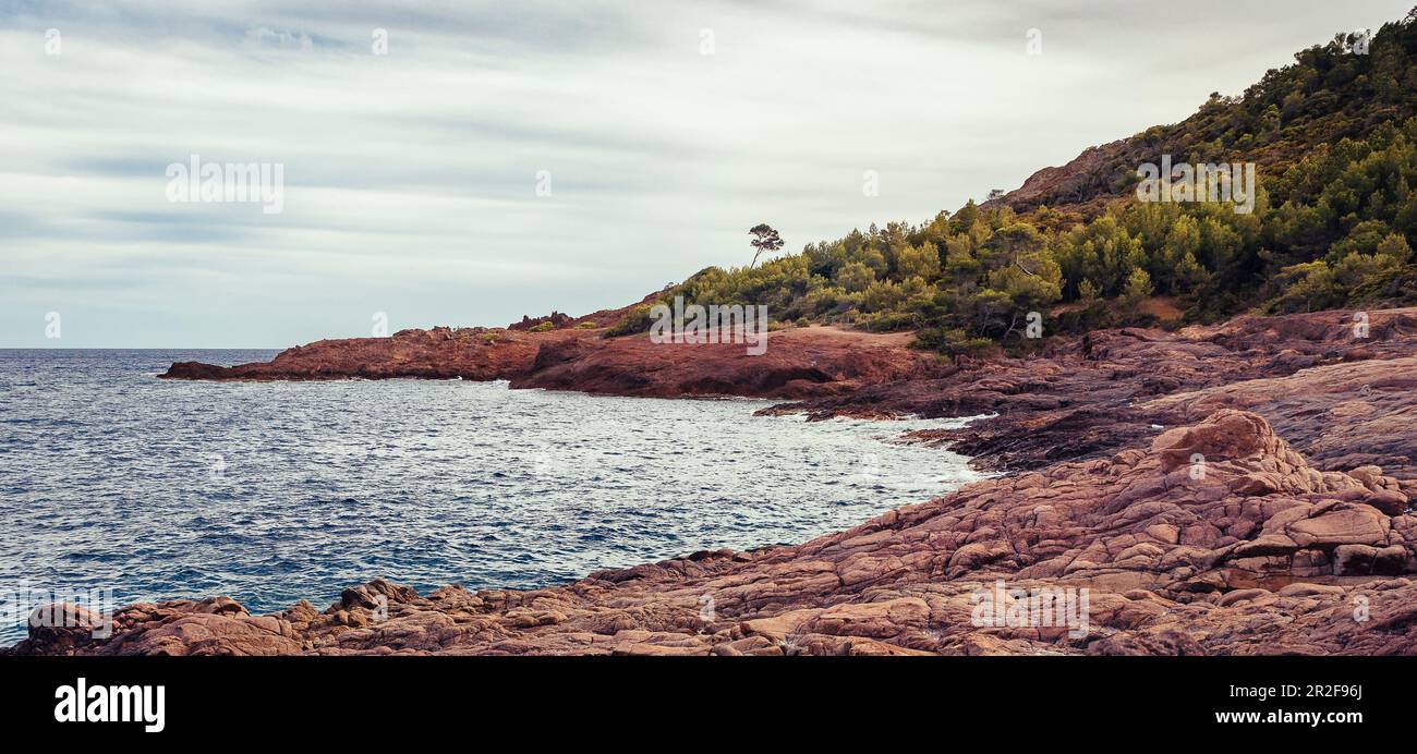 Küste in Agay, Bezirk Saint Raphael, Provence-Alpes-Cote d Azur, Französische Riviera, Frankreich Stockfoto