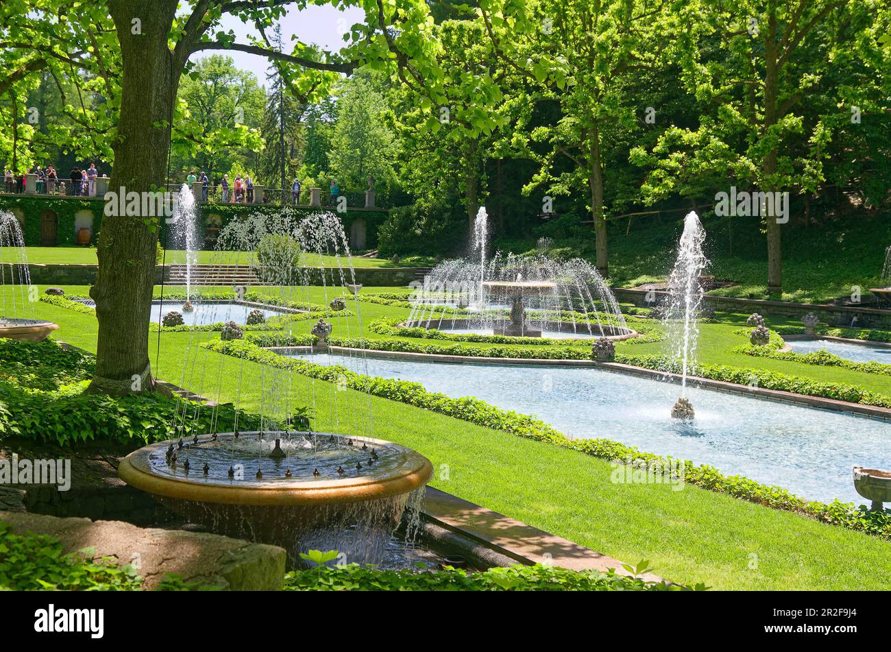 Italienischer Wassergarten, Springbrunnen, Teiche, grünes Gras, Bäume, Kantenpflanzen, 1927, friedliche Oase, über 600 Düsen, Longwood Gardens; Pennsylvania; USA; Kenne Stockfoto