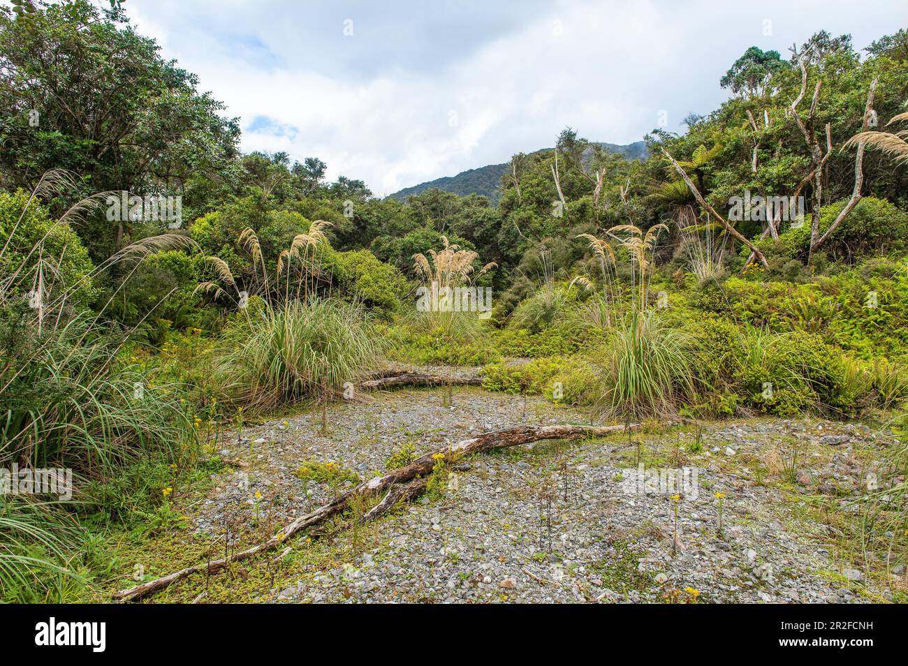 Fjordland-Nationalpark, Südinsel, Neuseeland Stockfoto