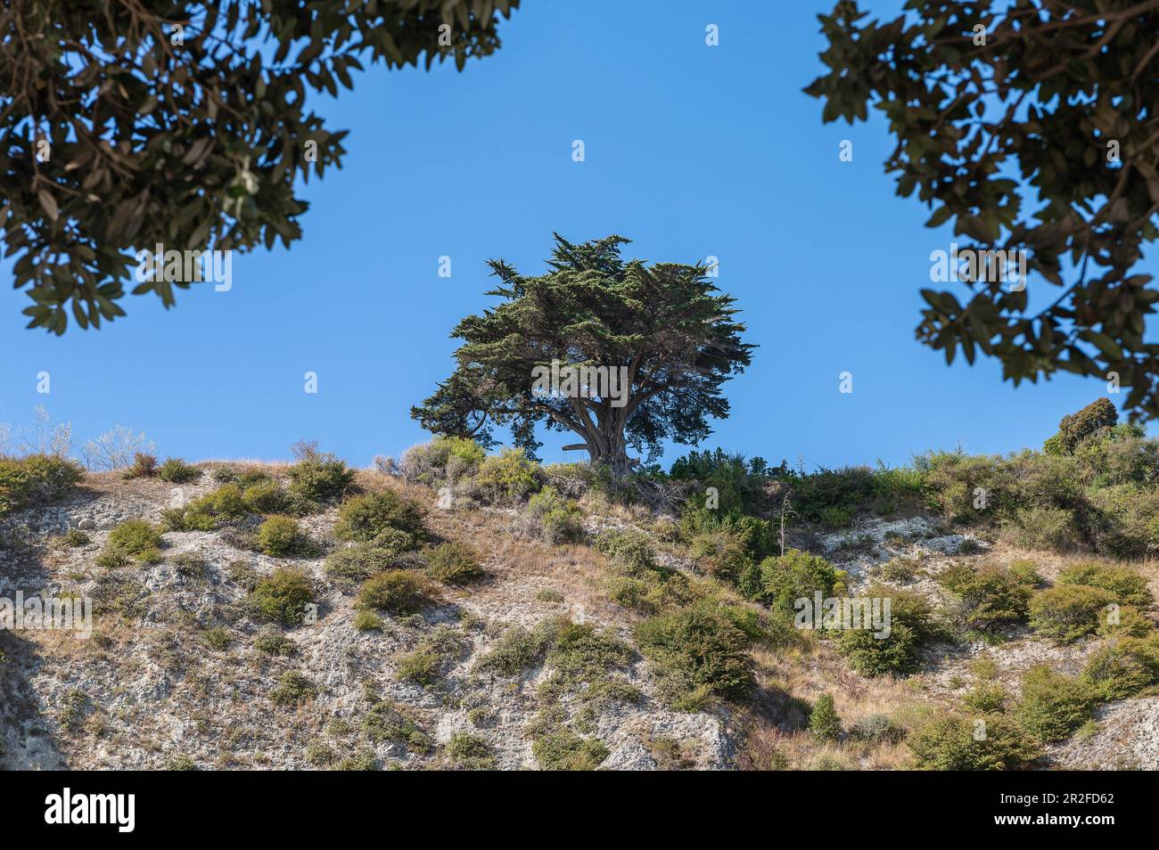 Kaikoura, Südinsel, Neuseeland Stockfoto