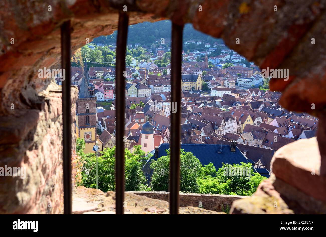 Auf der Burg Wertheim am Main, Blick auf die Stadt, Burgmauer, Gitter, Taubertal, Württemberg, Deutschland Stockfoto