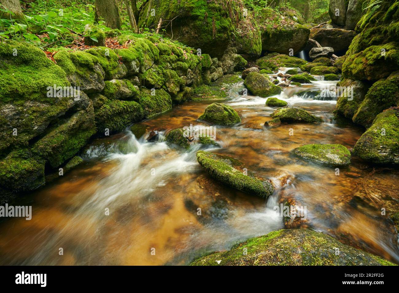 Der Fluss des Ysper im Ysperklamm im Waldviertel, Niederösterreich, Osterreich. Stockfoto