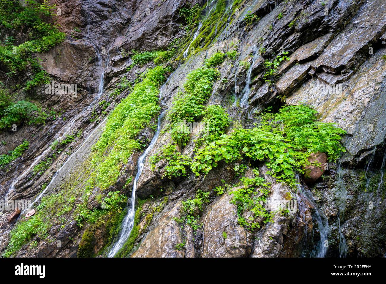 Die steilen Hänge des Wimbachklamms, Berchtesgadener Land, Bayern, finden Bäche und Abwässer Stockfoto