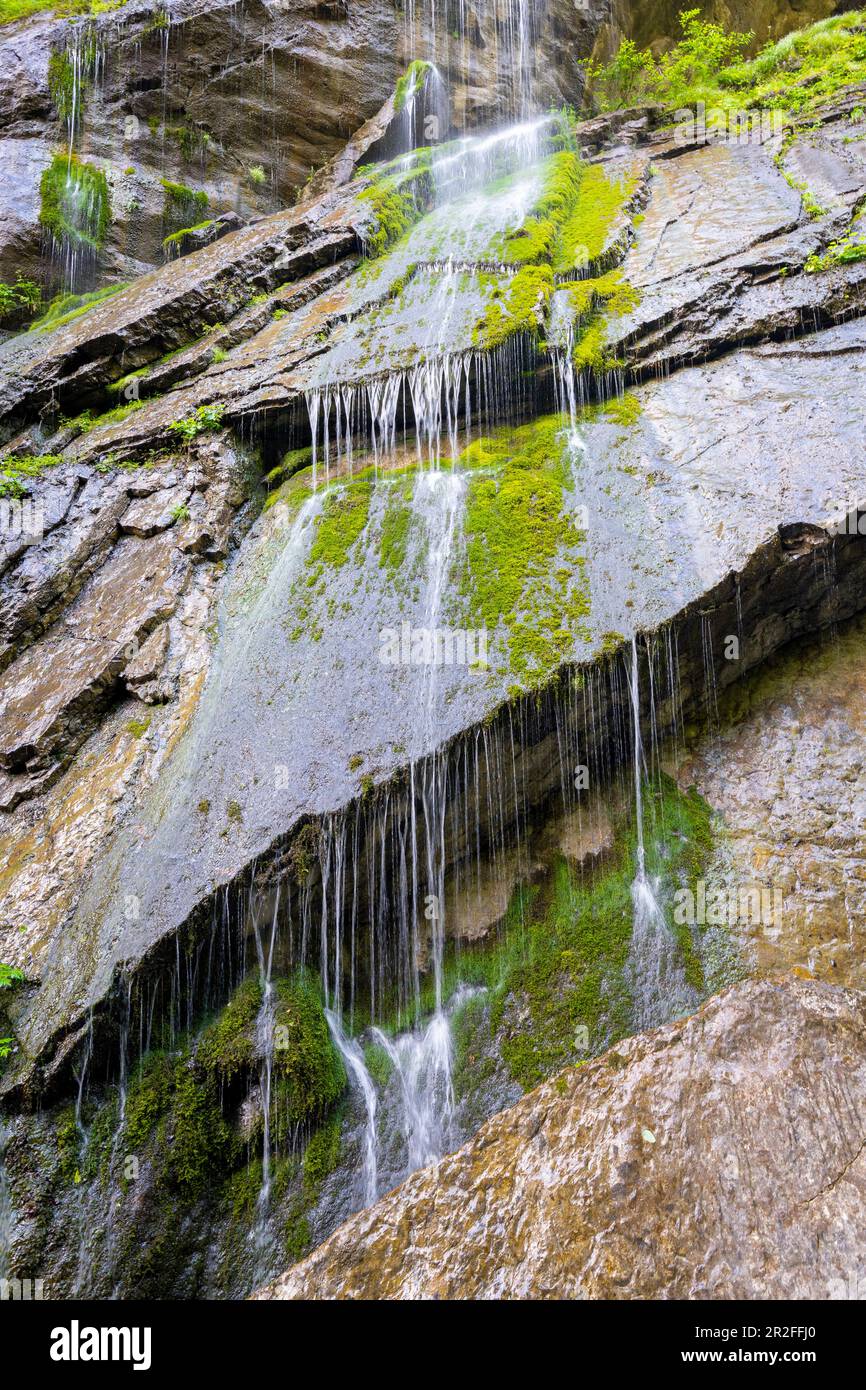 Die steilen Hänge des Wimbachklamms, Berchtesgadener Land, Bayern, finden Bäche und Abwässer Stockfoto