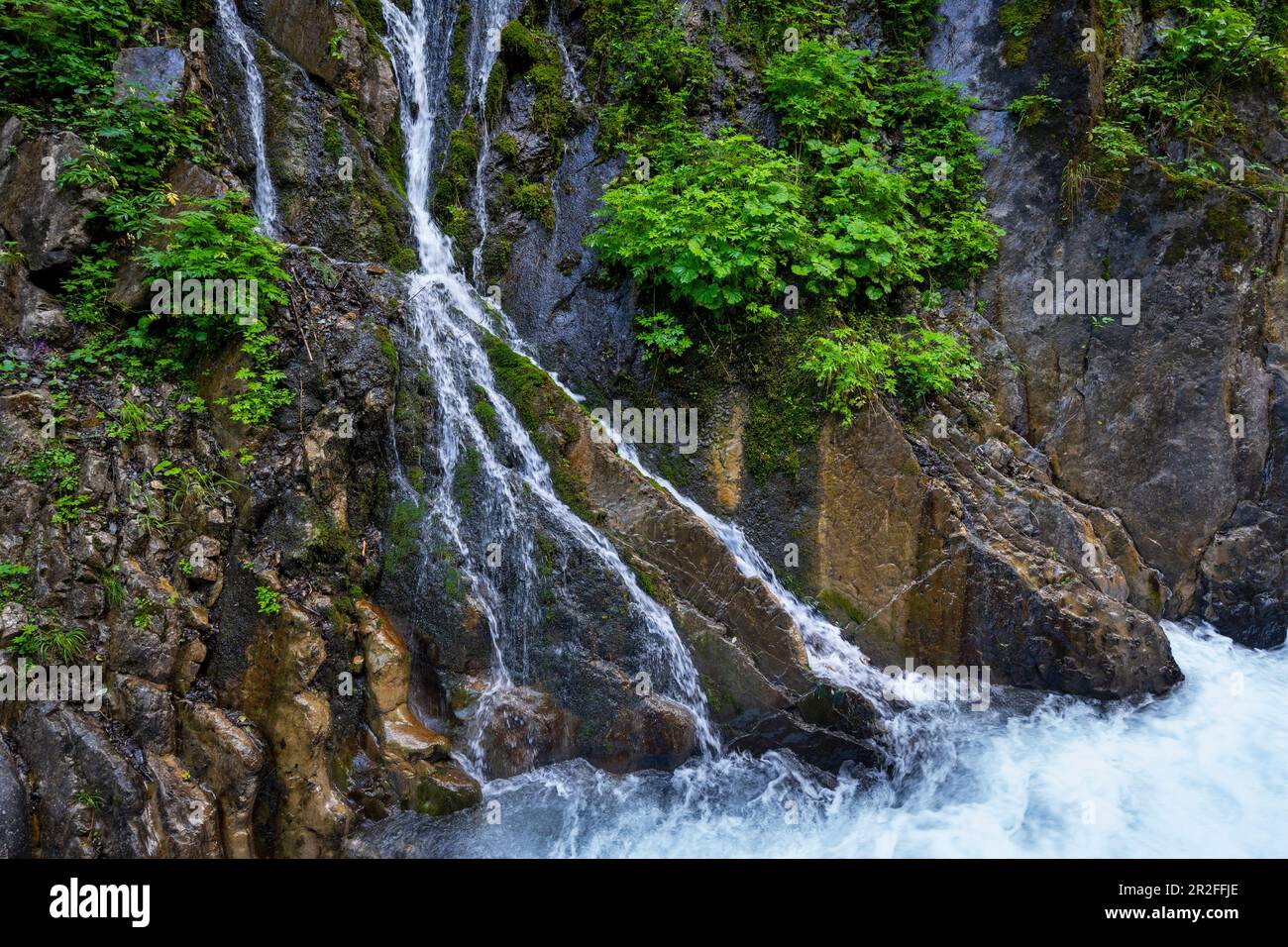 Die steilen Hänge des Wimbachklamms, Berchtesgadener Land, Bayern, finden Bäche und Abwässer Stockfoto