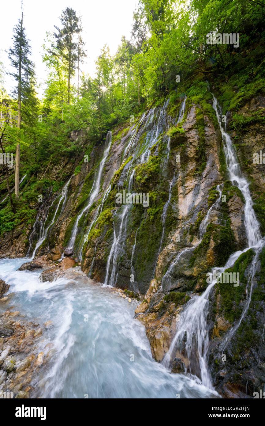 Die steilen Hänge des Wimbachklamms, Berchtesgadener Land, Bayern, finden Bäche und Abwässer Stockfoto
