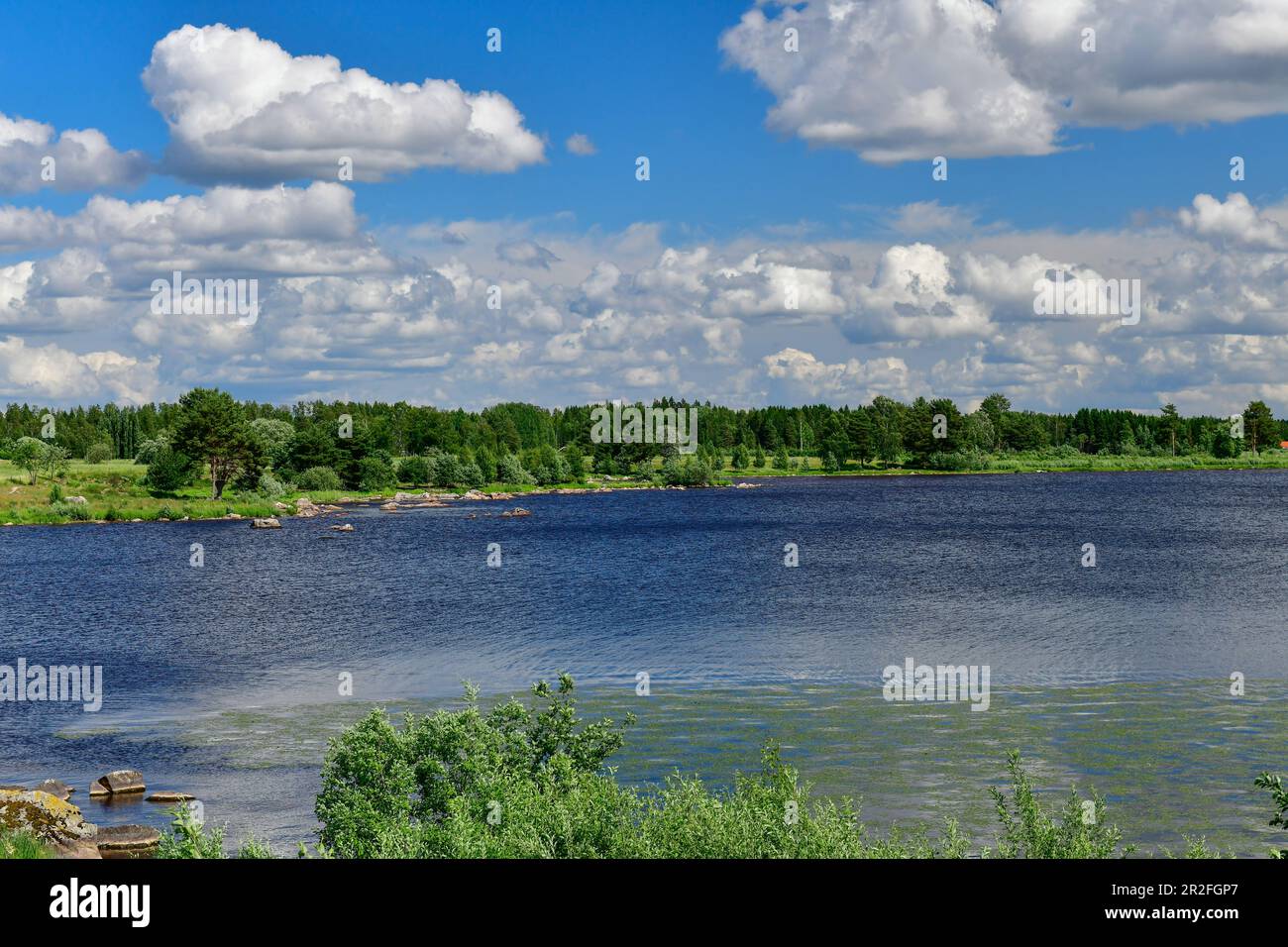 Ein großer See mit einer bewaldeten Küste und wunderschöner Wolkenlandschaft, nahe Fors, Dalarna, Schweden Stockfoto