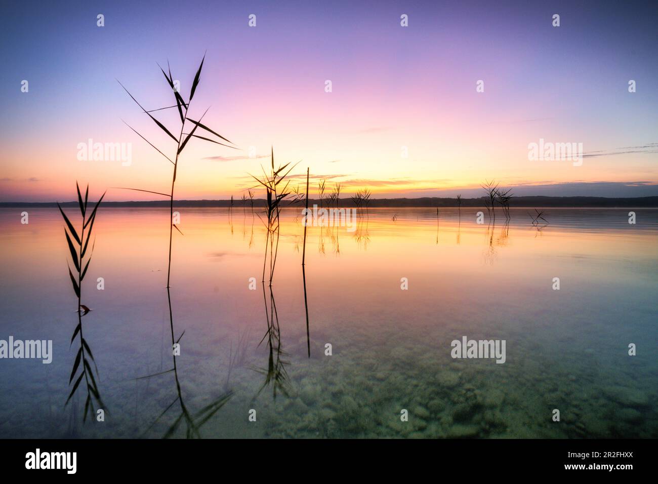 Sonnenaufgang am Starnberger See, Bayern, Deutschland Stockfoto