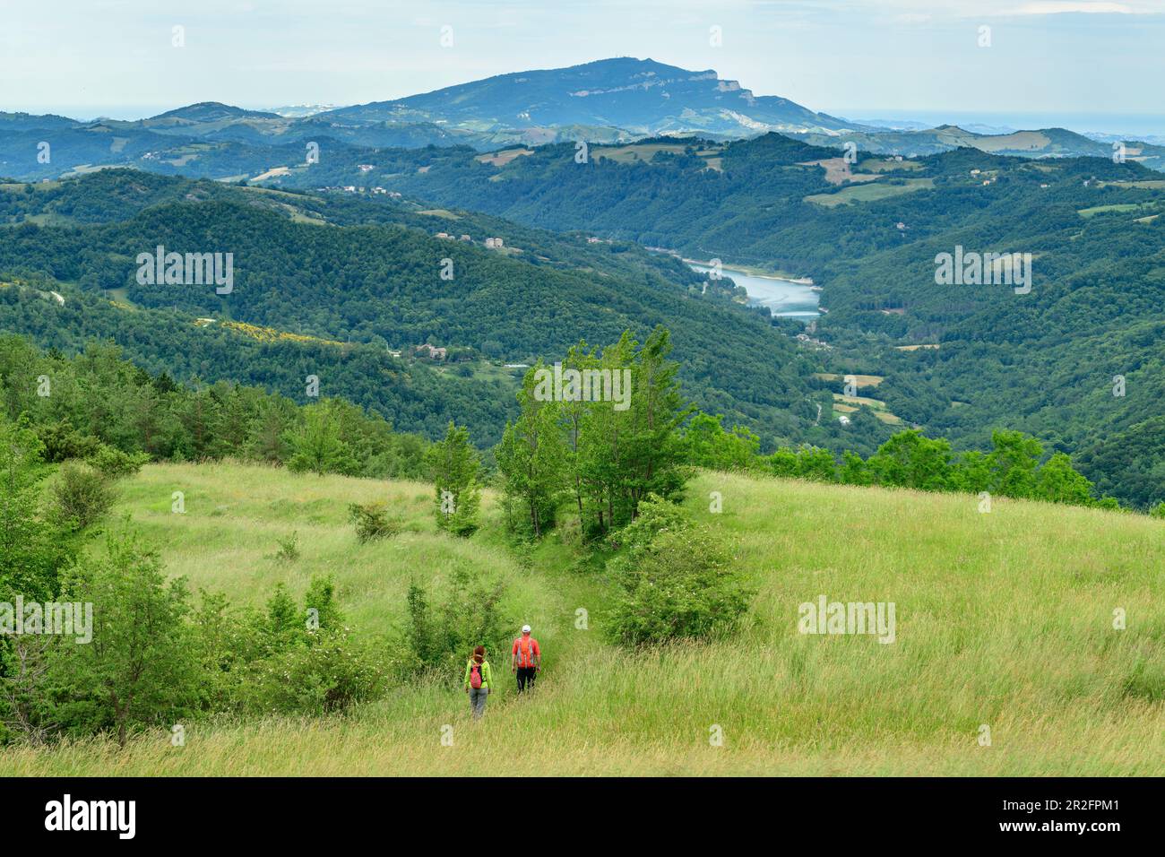 Mann und Frau wandern durch Wiese, Grande Anello dei Sibillini, Sibillini Mountains, Monti Sibillini, Monti Sibillini National Park, Parco nazionale Stockfoto