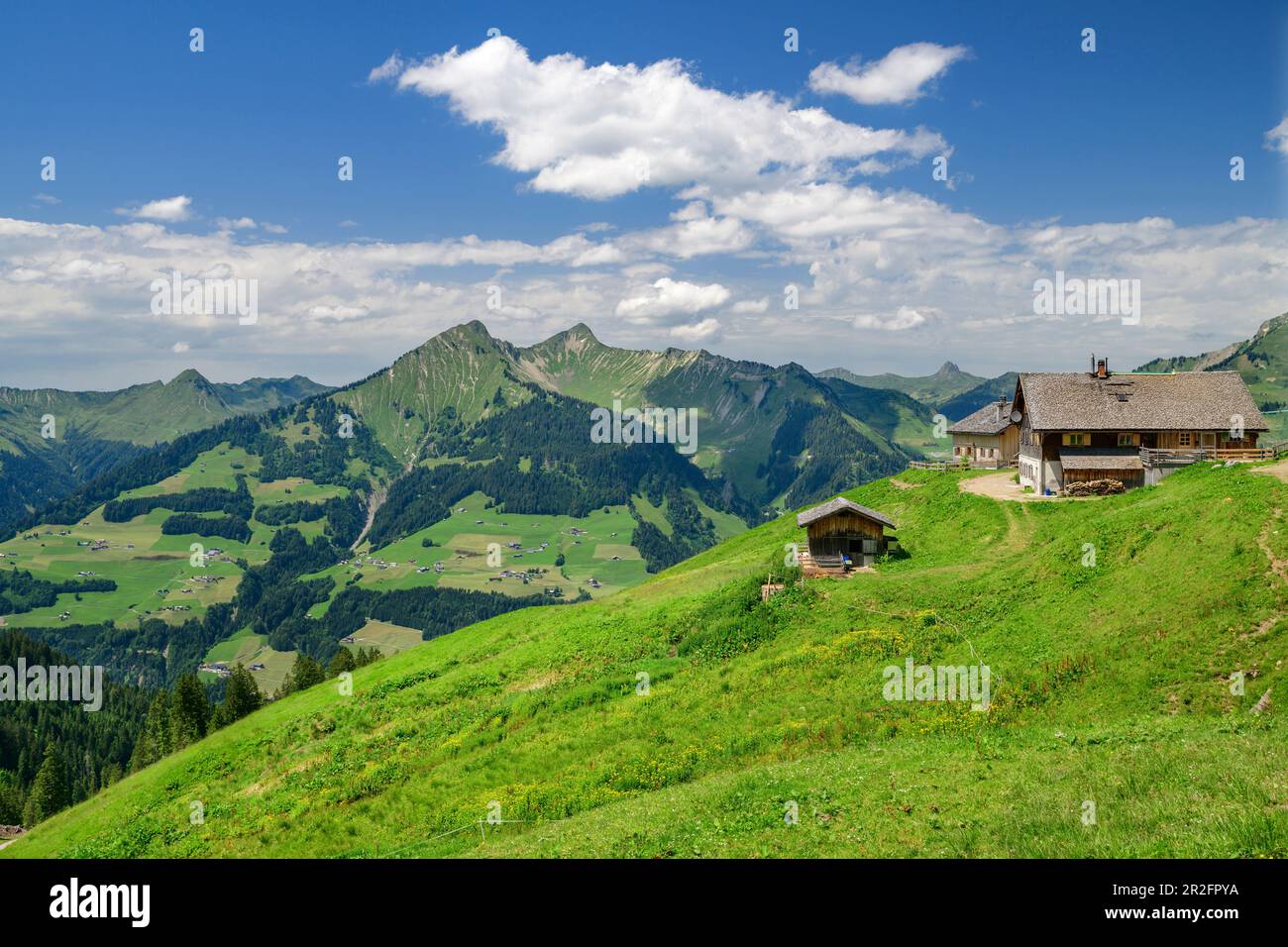 Alpe Oberpartnerun mit Bregenz Waldgebirge, großes Walsertal Biosphärenreservat, Lechquellen, Vorarlberg, Österreich Stockfoto