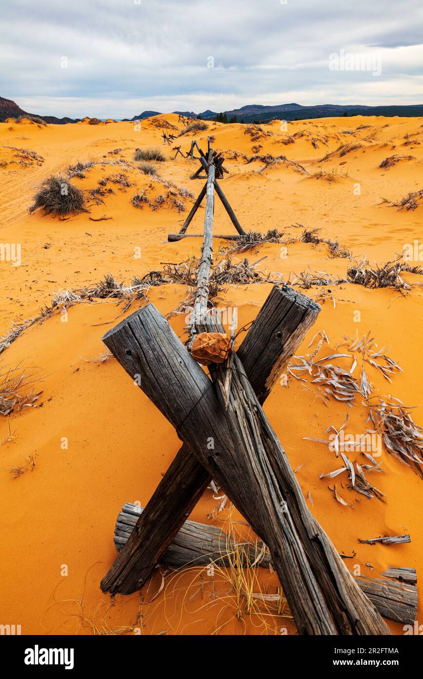 Verwitterter Wermut-Ranch-Zaun; Coral Pink Sand Dunes State Park; Utah; USA Stockfoto