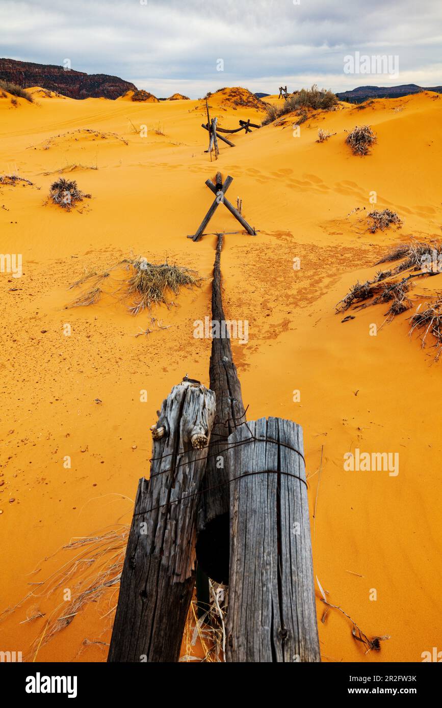 Verwitterter Wermut-Ranch-Zaun; Coral Pink Sand Dunes State Park; Utah; USA Stockfoto