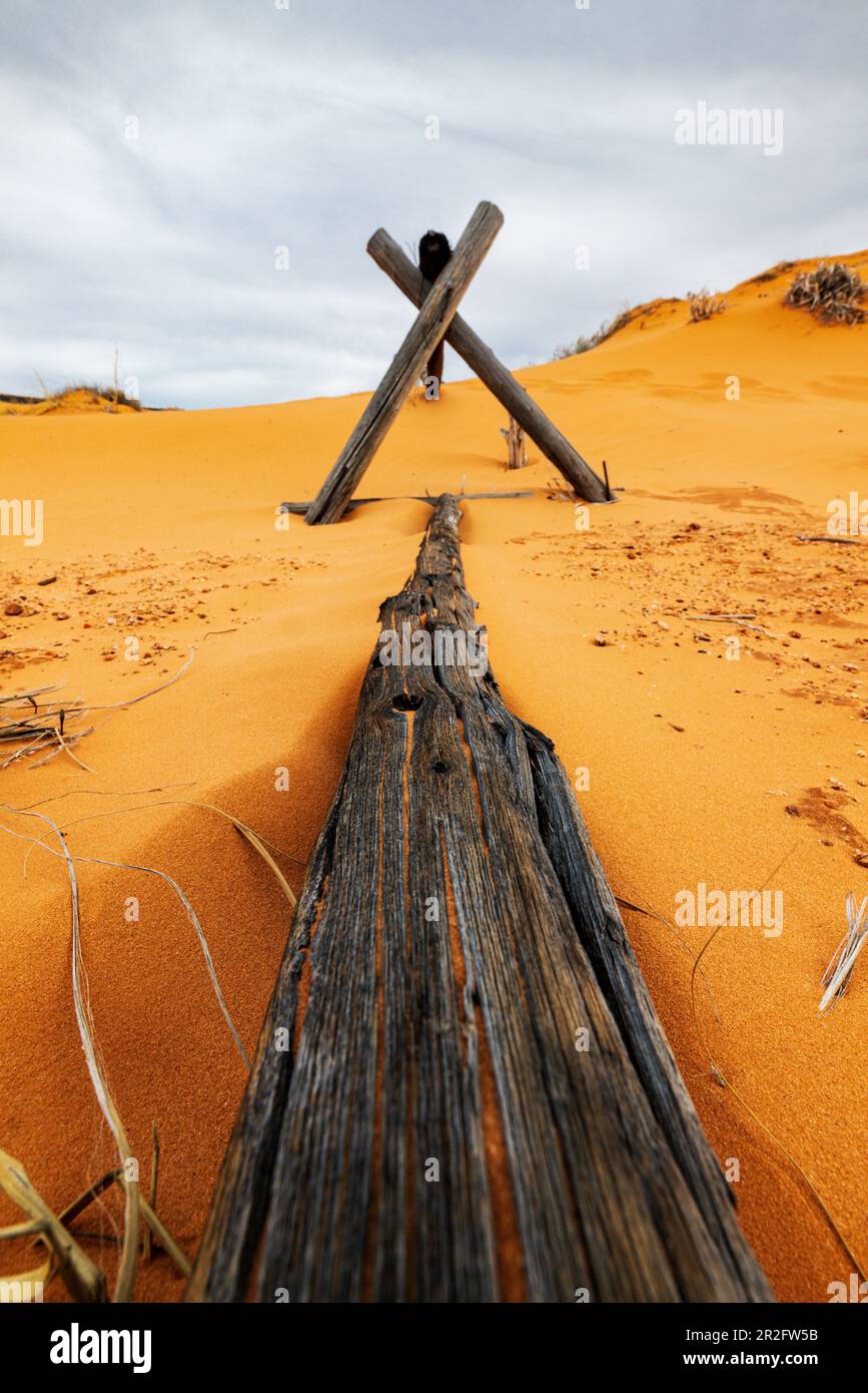 Verwitterter Wermut-Ranch-Zaun; Coral Pink Sand Dunes State Park; Utah; USA Stockfoto