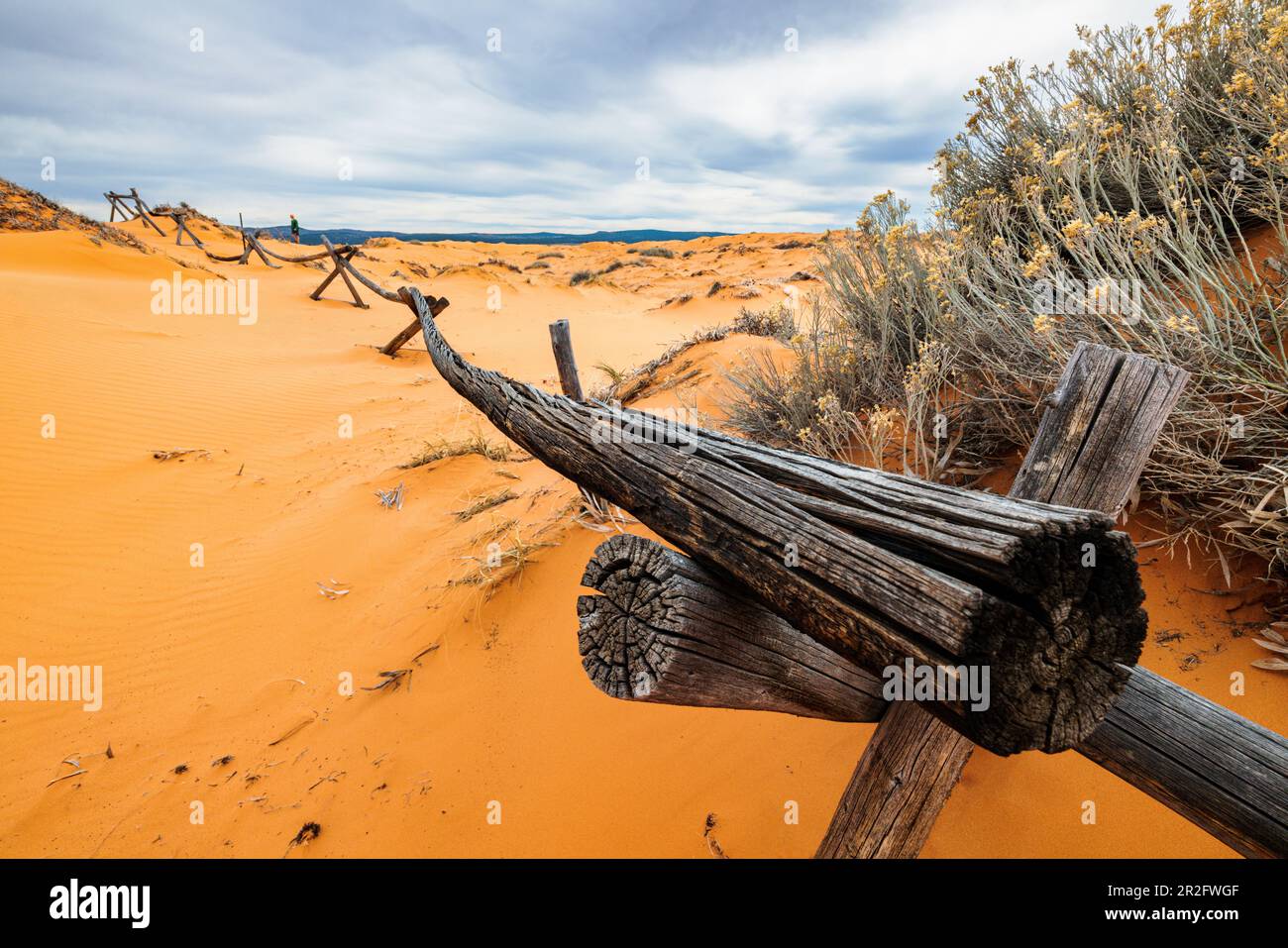 Verwitterter Wermut-Ranch-Zaun; Coral Pink Sand Dunes State Park; Utah; USA Stockfoto