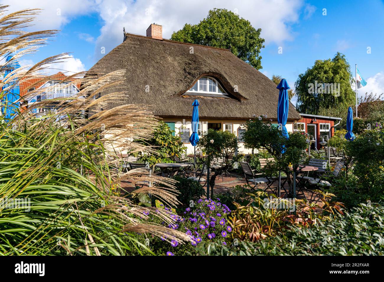 Haus- und Außenbereich des Café Rosengarten in Zingst, Mecklenburg-Vorpommern, Deutschland. Stockfoto