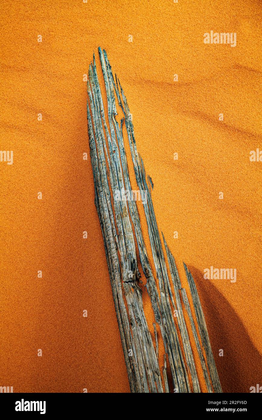 Verwitterter Wermut-Ranch-Zaun; Coral Pink Sand Dunes State Park; Utah; USA Stockfoto