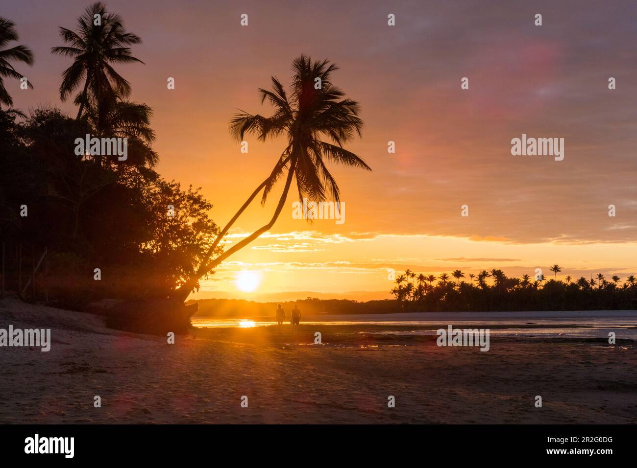 Sonnenuntergang am Strand mit Palmen, Boipeba Island, Bahia, Brasilien, Südamerika Stockfoto