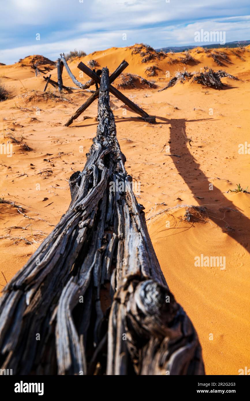 Verwitterter Wermut-Ranch-Zaun; Coral Pink Sand Dunes State Park; Utah; USA Stockfoto
