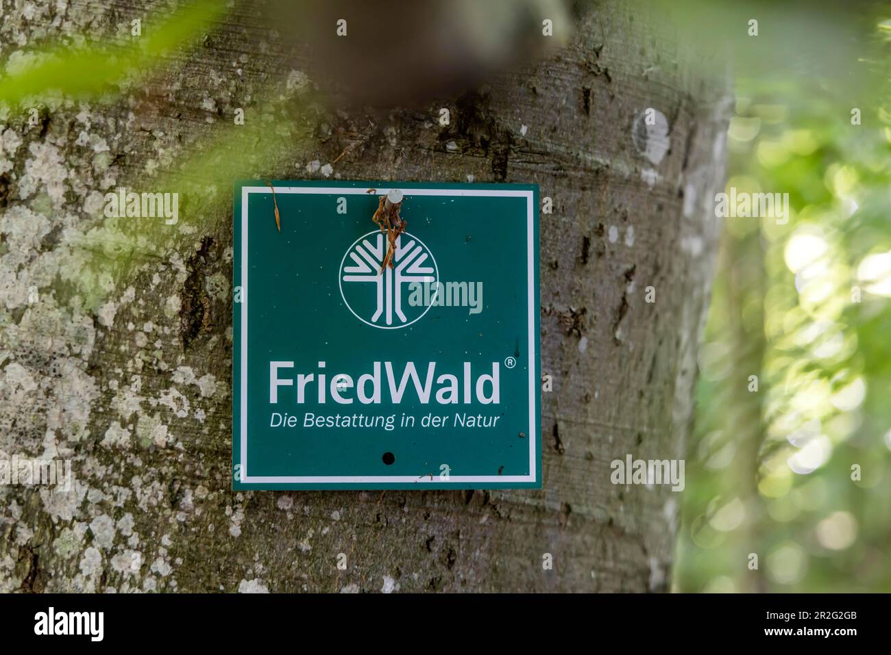 Friedwald, alternative Form der Beerdigung im Wald, Friedhof, Mülsingen, Baden-Württemberg, Deutschland Stockfoto