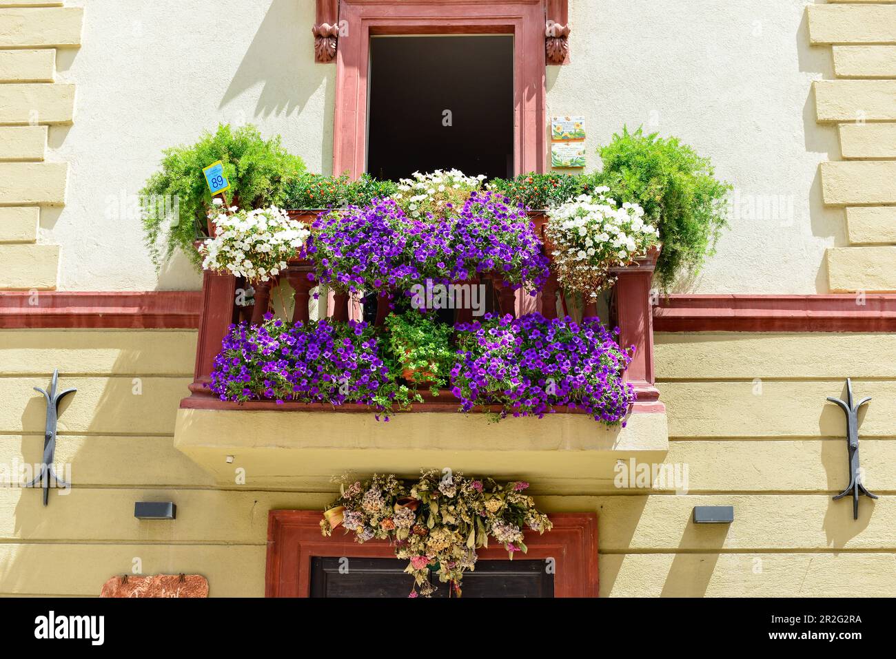 Üppige, farbenfrohe Blumen auf einem Balkon, Foligno, Italien Stockfoto