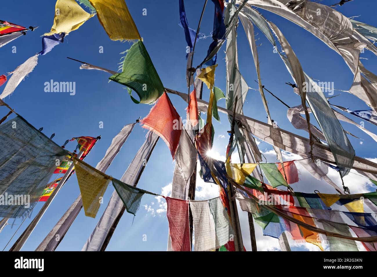 Auf dem Pele La Pass zwischen Punakha und Trongsa. Tausende Gebetsflaggen begrüßen den Reisenden. Stockfoto