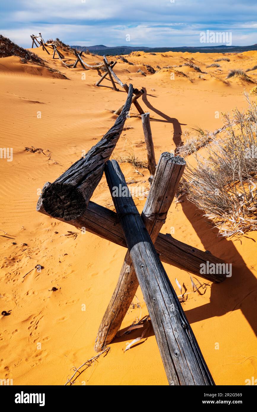 Verwitterter Wermut-Ranch-Zaun; Coral Pink Sand Dunes State Park; Utah; USA Stockfoto