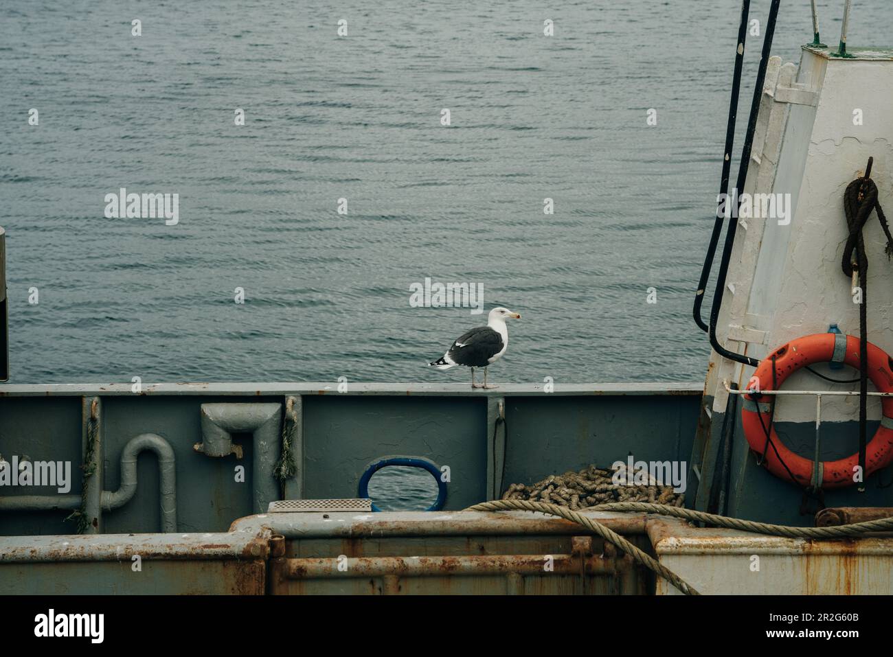Ausrüstung für Fischernetze auf einem Boot. Hochwertiges Foto Stockfoto