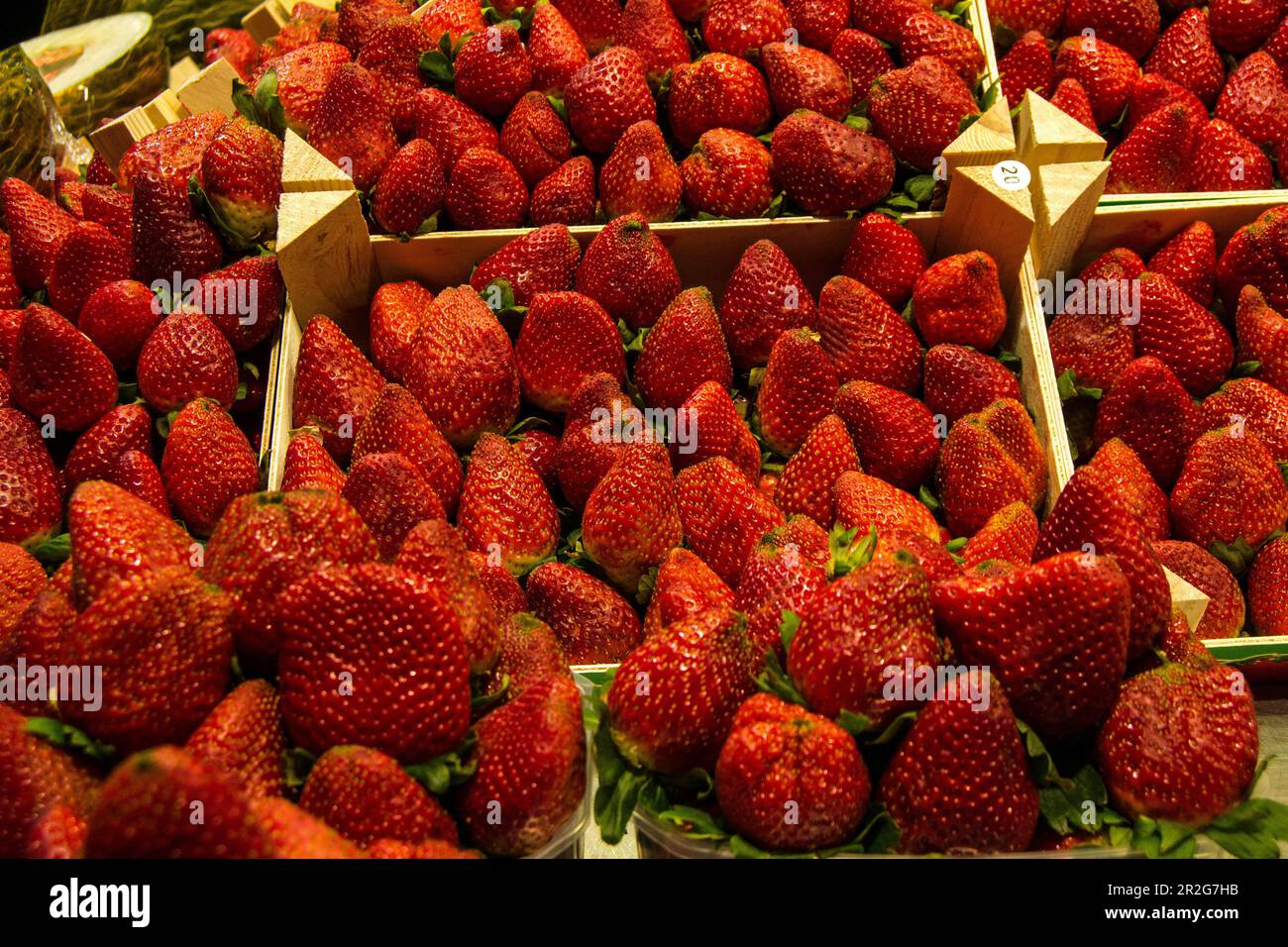 Reife Erdbeeren auf dem Boqueria-Markt, Barcelona, Katalonien, Spanien. Stockfoto