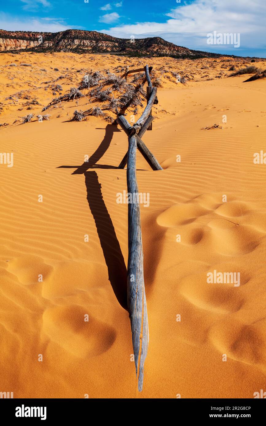 Verwitterter Wermut-Ranch-Zaun; Coral Pink Sand Dunes State Park; Utah; USA Stockfoto