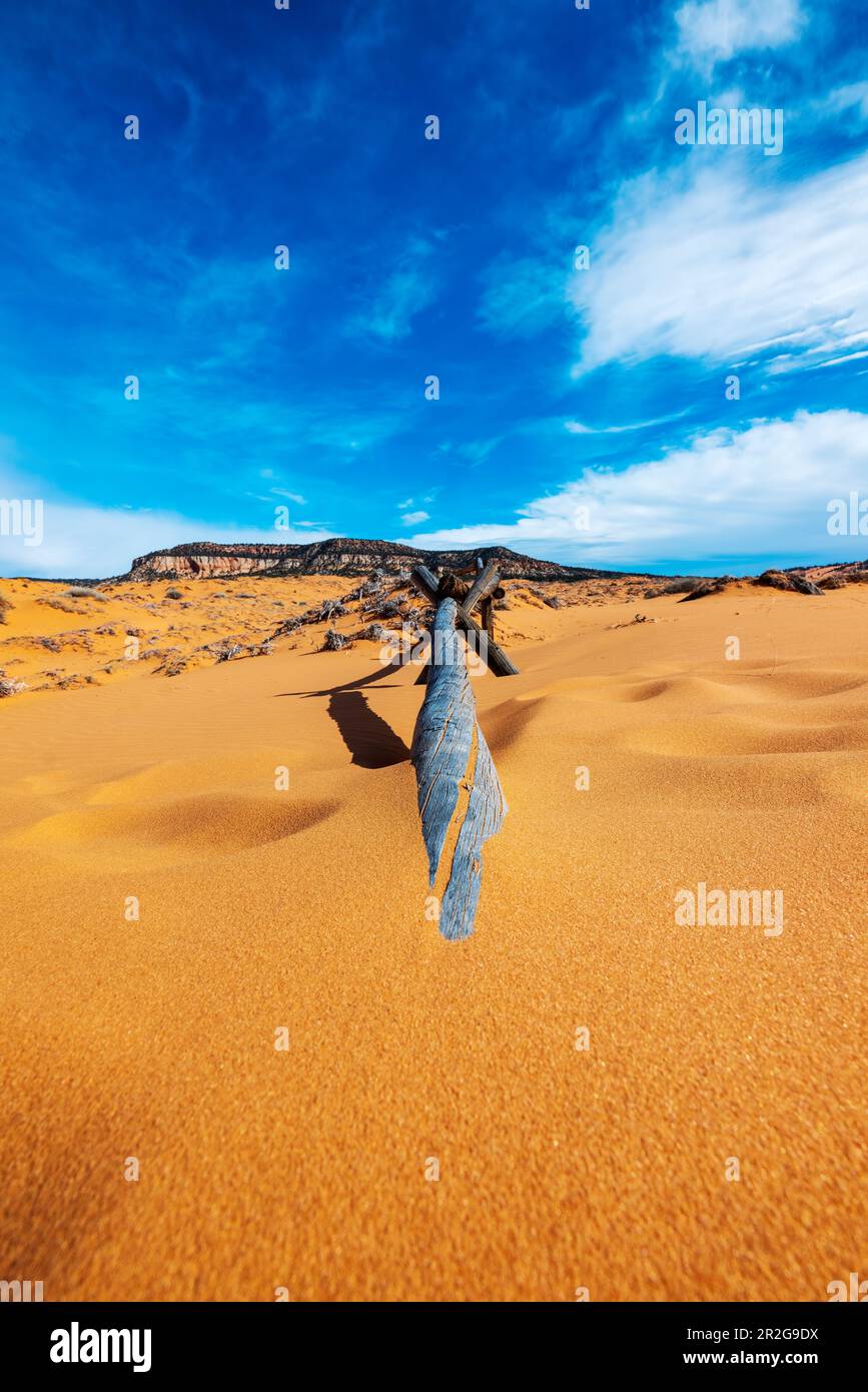 Verwitterter Wermut-Ranch-Zaun; Coral Pink Sand Dunes State Park; Utah; USA Stockfoto