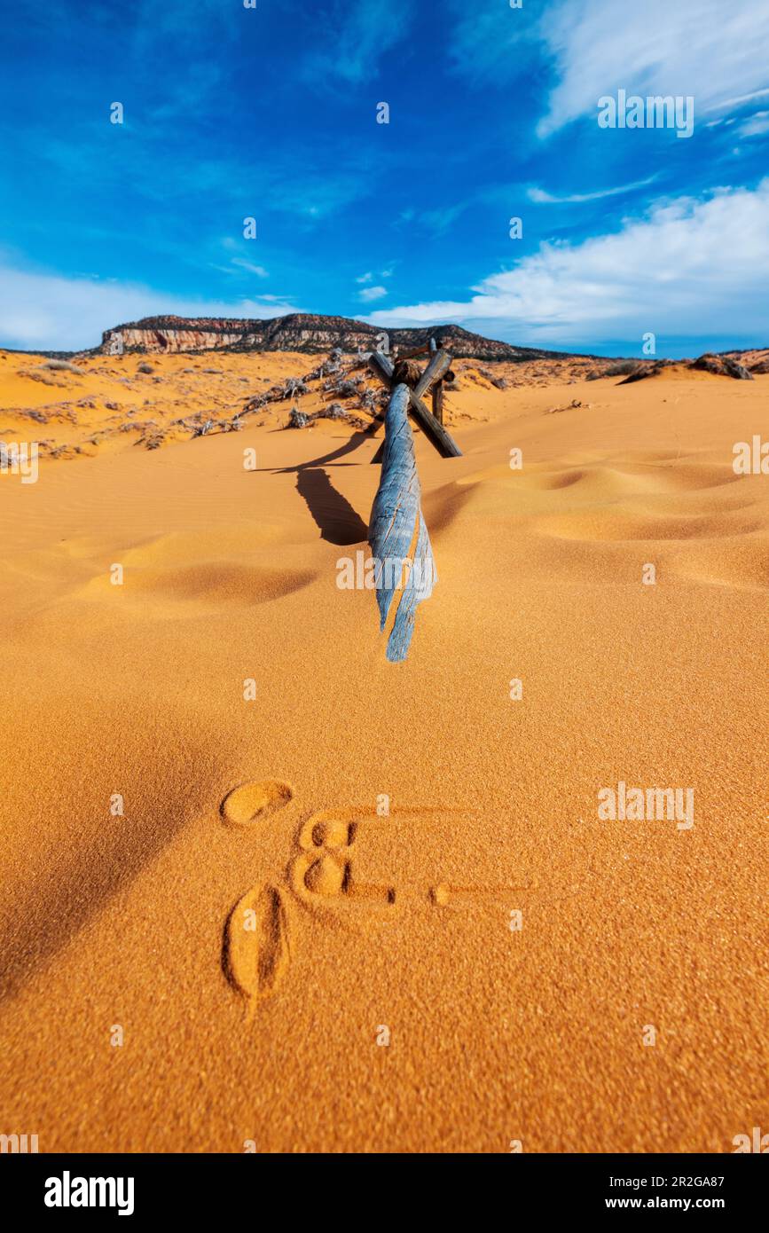Verwitterter Wermut-Ranch-Zaun; Coral Pink Sand Dunes State Park; Utah; USA Stockfoto
