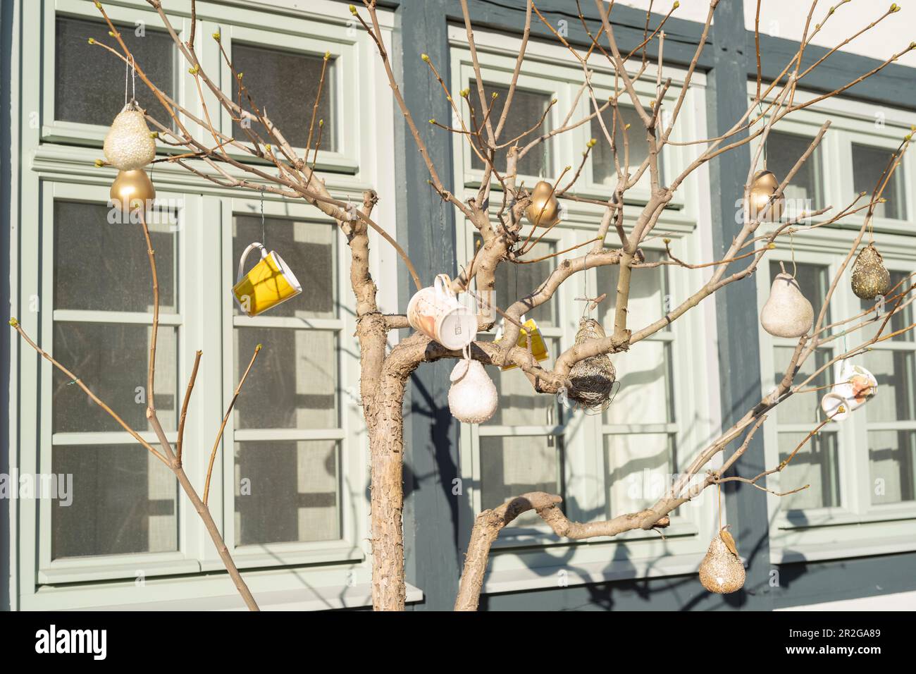 Fenster eines historischen Kapitänshauses. Dekorierter Baum mit Bechern und anderen Gegenständen. Stockfoto