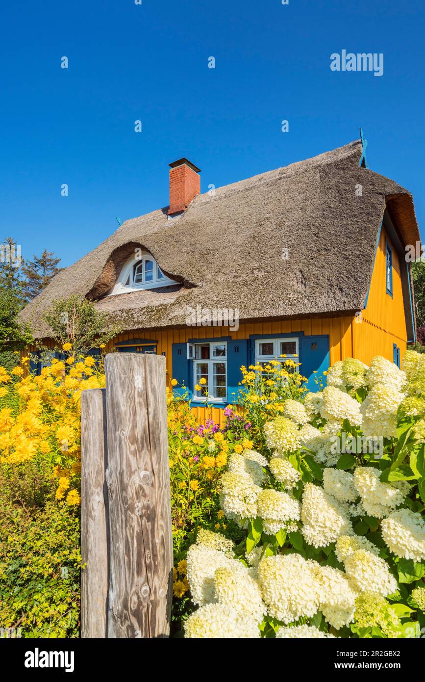 Strohdach mit Darßer Tür in Wiek, Fischland-Darß-Zingst, Mecklenburg-Vorpommern, Deutschland Stockfoto