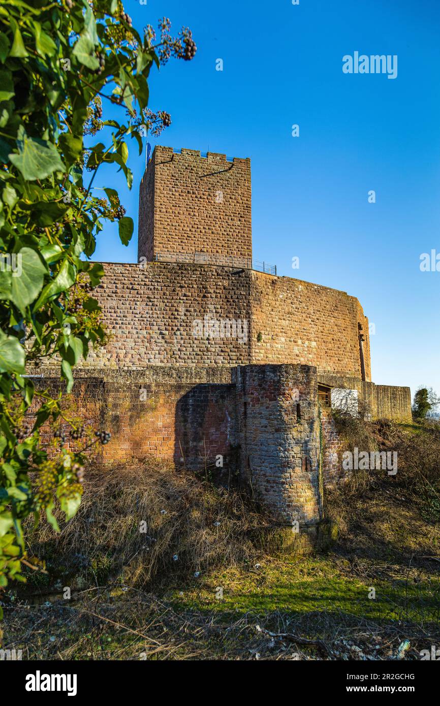 Burgruinen Landeck im Pfalzwald, Klingenmünster, Südweinstraße, Rheinland-Pfalz, Deutschland, Europa Stockfoto