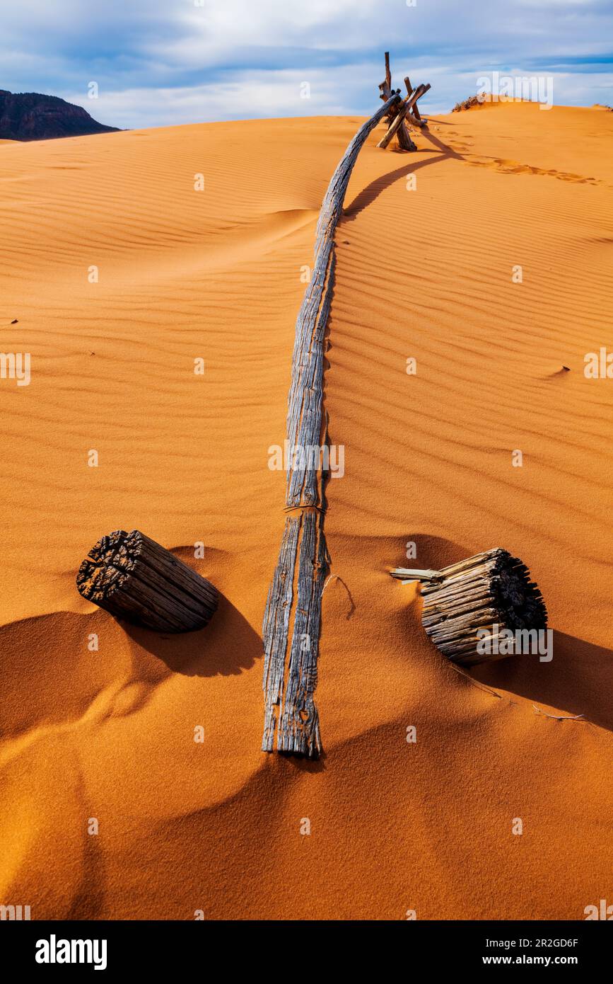 Verwitterter Wermut-Ranch-Zaun; Coral Pink Sand Dunes State Park; Utah; USA Stockfoto