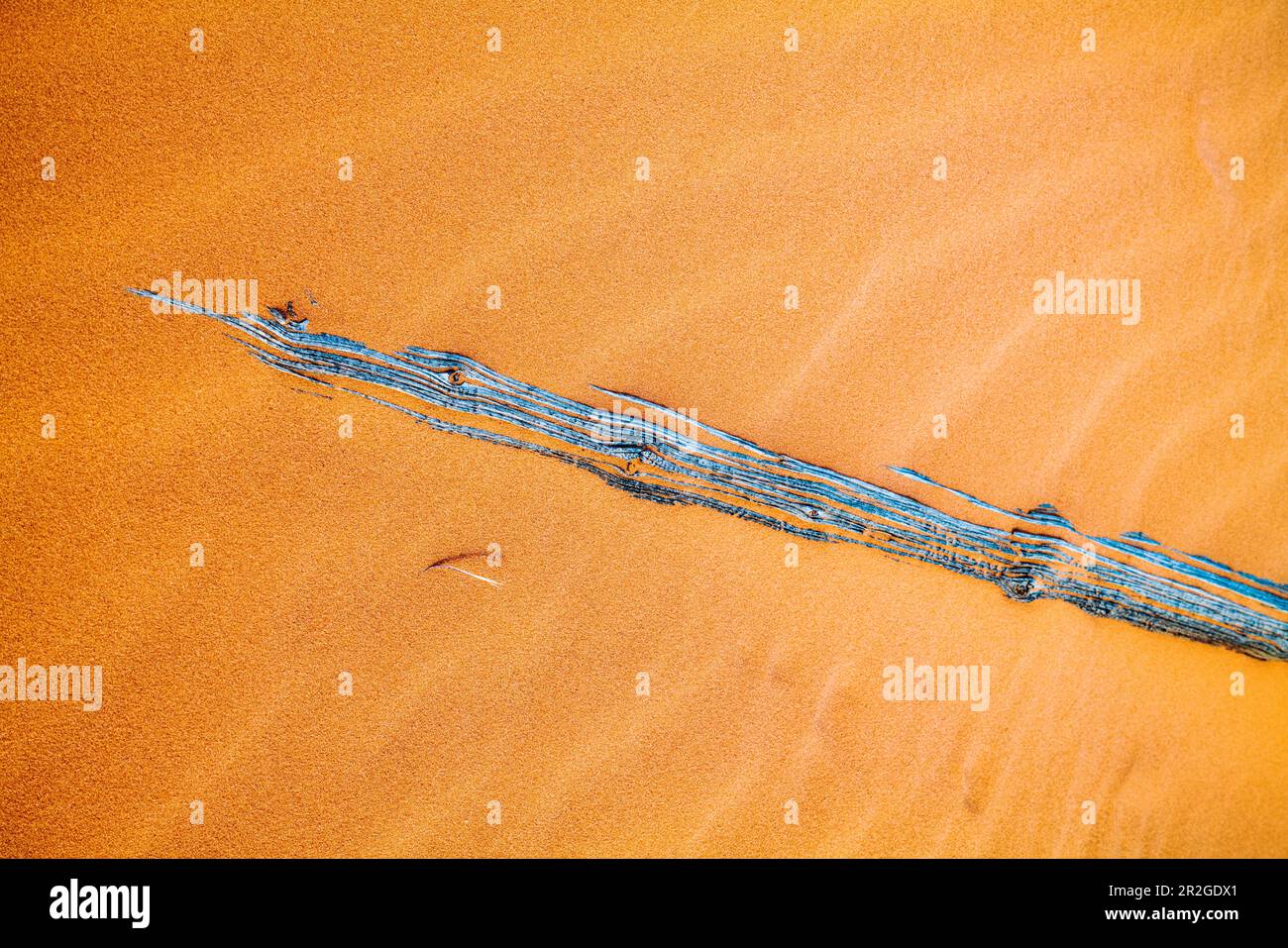 Verwitterter Wermut-Ranch-Zaun; Coral Pink Sand Dunes State Park; Utah; USA Stockfoto