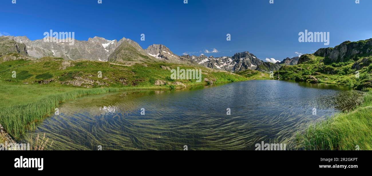 Panorama mit Lac du Lauzon und den Gipfeln der Ecrins, Lac du Lauzon, Valgaudemar, Ecrins National Park, Dauphine, Provence-Hautes Alpes, Frankreich Stockfoto