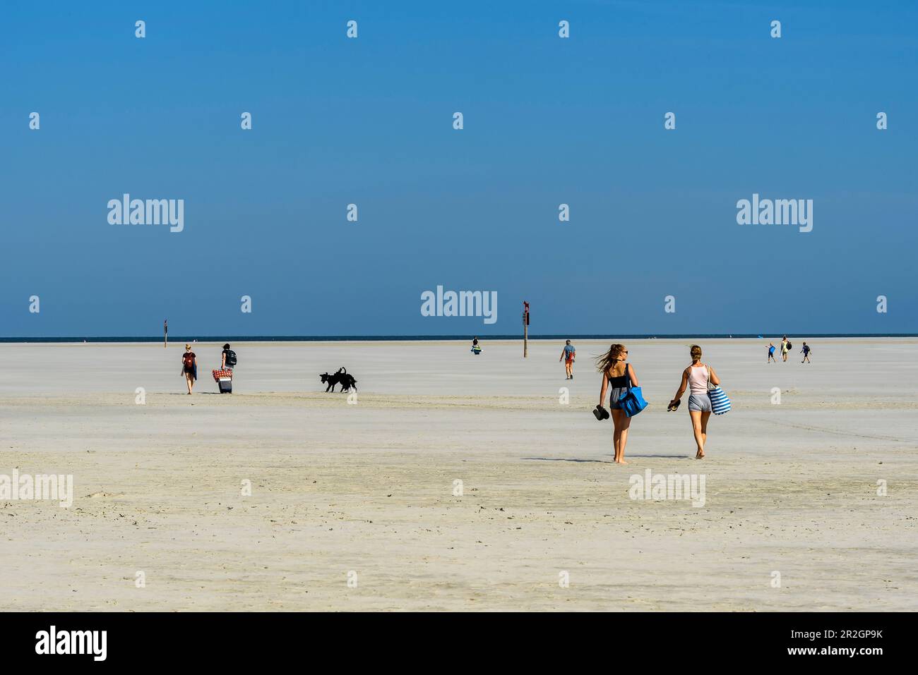 Spaziergänger am weitläufigen Strand im Ording, St. Peter Ording, Nordfriesland, Nordseeküste, Schleswig Holstein, Deutschland, Europa Stockfoto