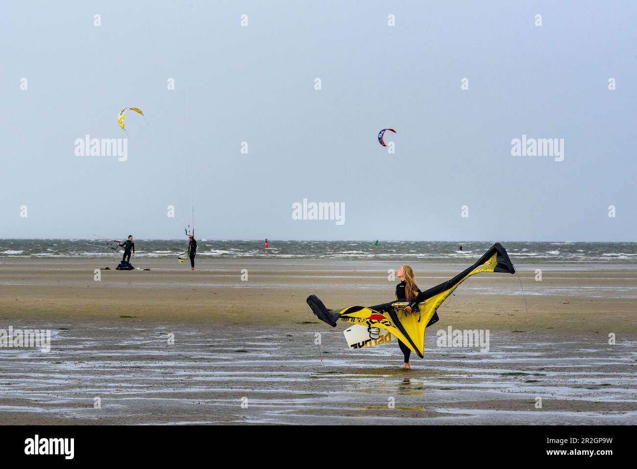 Kitesurfer am weitläufigen Strand im Ording, St. Peter Ording, Nordfriesland, Nordseeküste, Schleswig Holstein, Deutschland, Europa Stockfoto