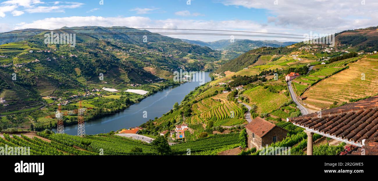 Panoramablick auf das Douro-Tal und die Weinregion Alto Douro im Norden Portugals Stockfoto