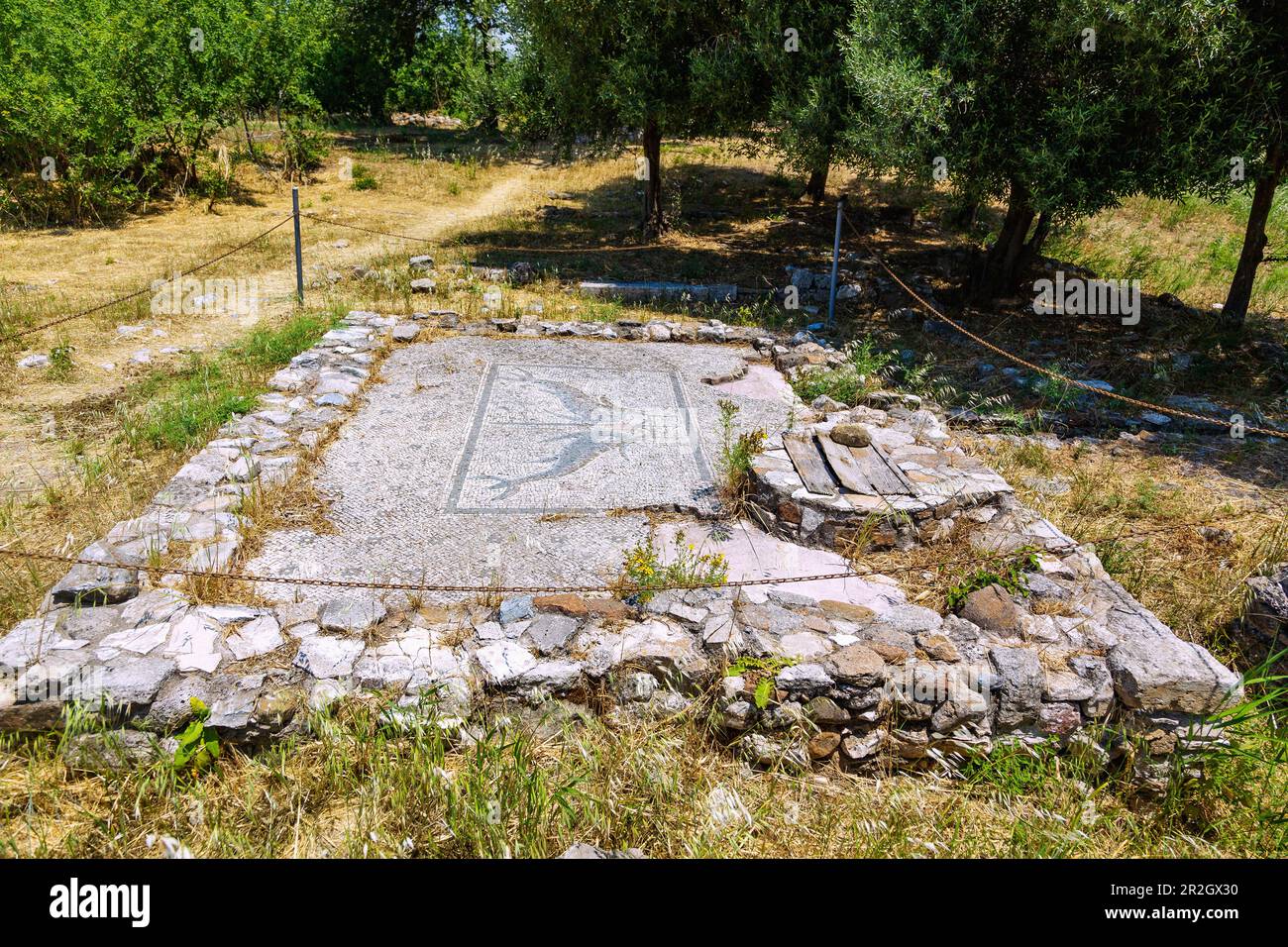 Heraion von Samos, Mosaik mit zwei Delfinen, archäologische Stätte des antiken Heiligtums der griechischen Göttin Hera in Ireon auf der Insel Samos in Stockfoto