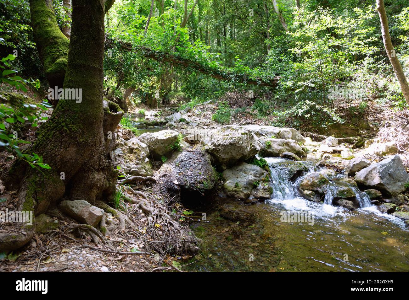 Potami, Wanderweg zum Potami Wasserfall auf der Insel Samos in Griechenland Stockfoto