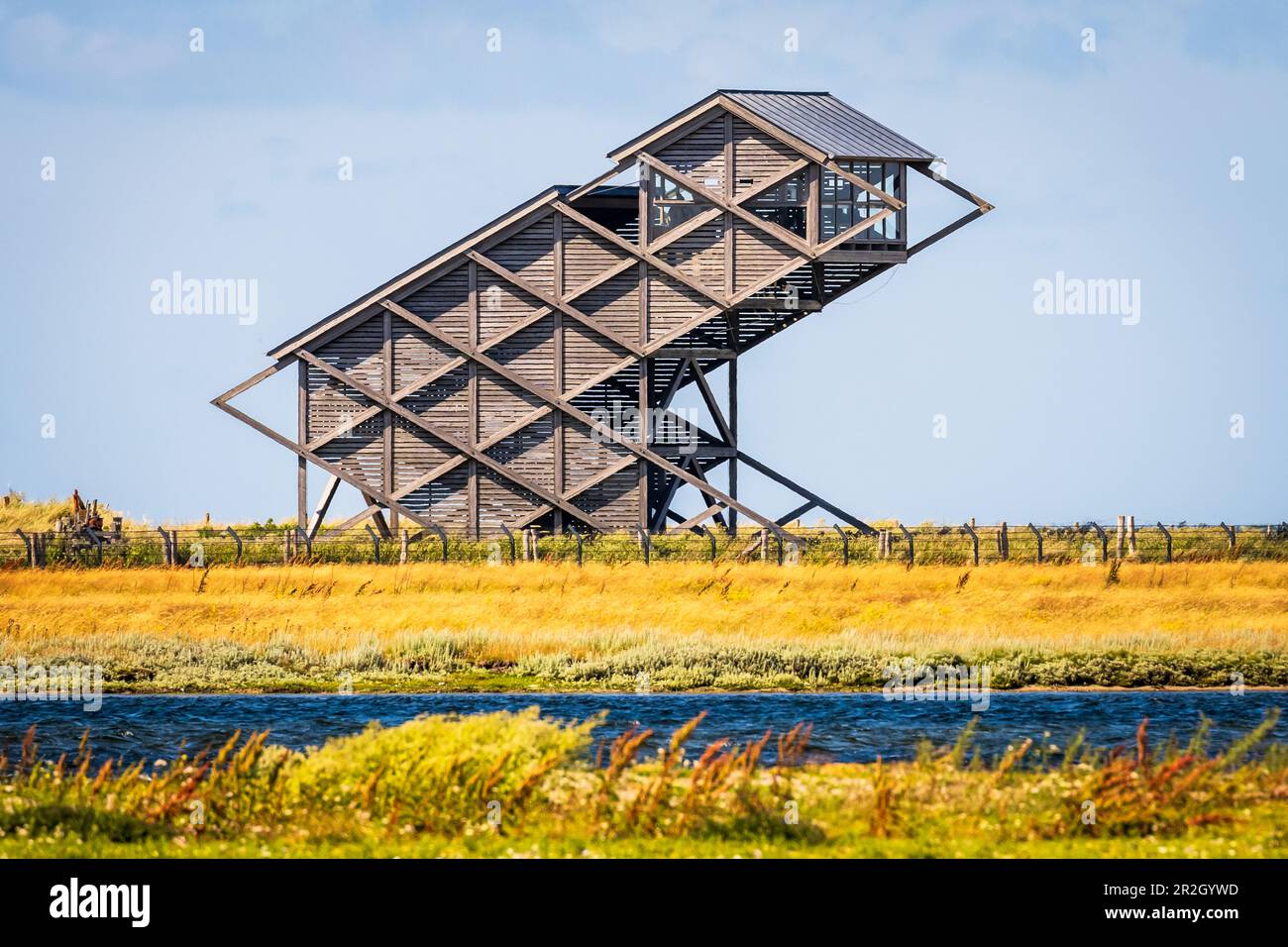 Blick auf den Aussichtsturm zur Vogelbeobachtung auf der Graswarder, Heiligenhafen, Ostholstein, Schleswig-Holstein, Deutschland Stockfoto