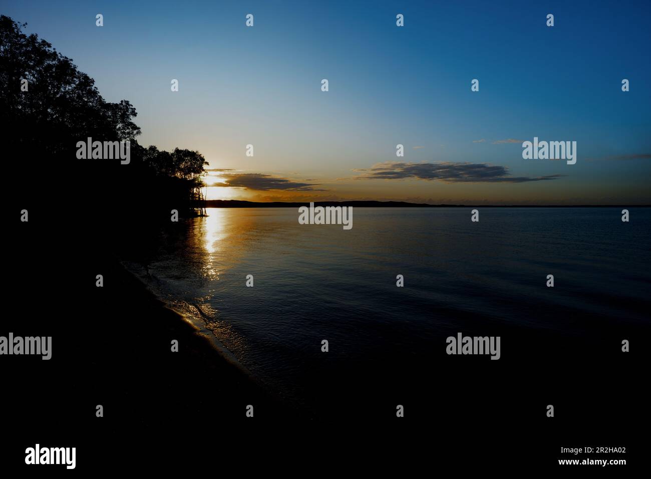 Die Silhouette des Lake Cootharaba bei Sonnenaufgang, das Tor zu den Feuchtgebieten der Noosa everglades an einem kalten Herbstmorgen Stockfoto