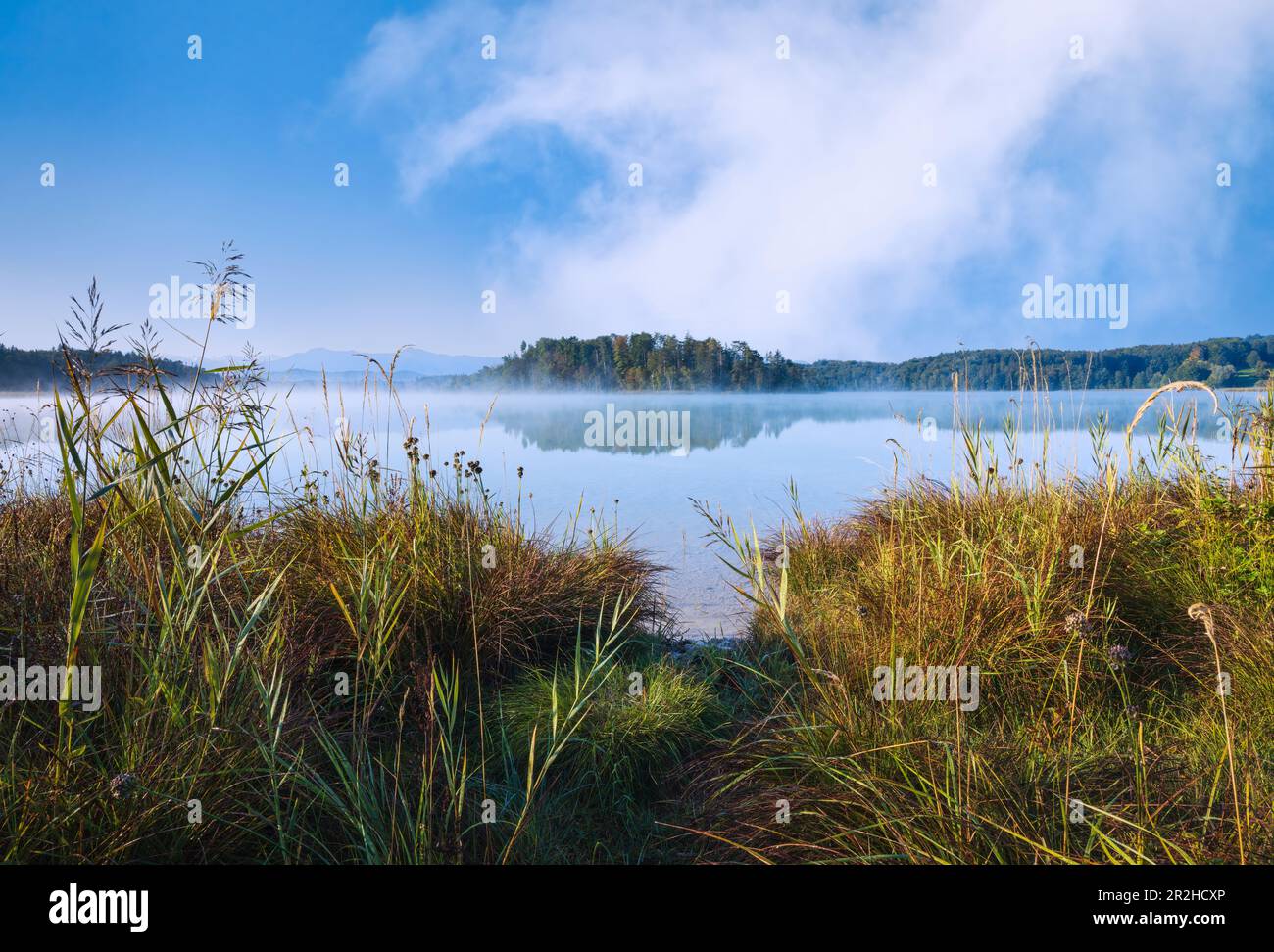 Nebeliger Frühherbstmorgen am großen Ostersee, Bayern, Deutschland, Europa Stockfoto