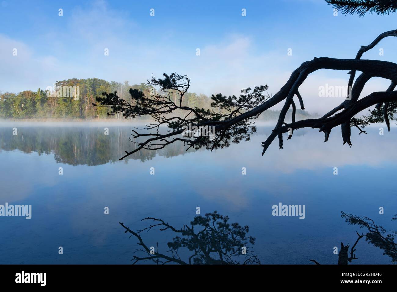 Nebeliger Frühherbstmorgen am großen Ostersee, Bayern, Deutschland, Europa Stockfoto