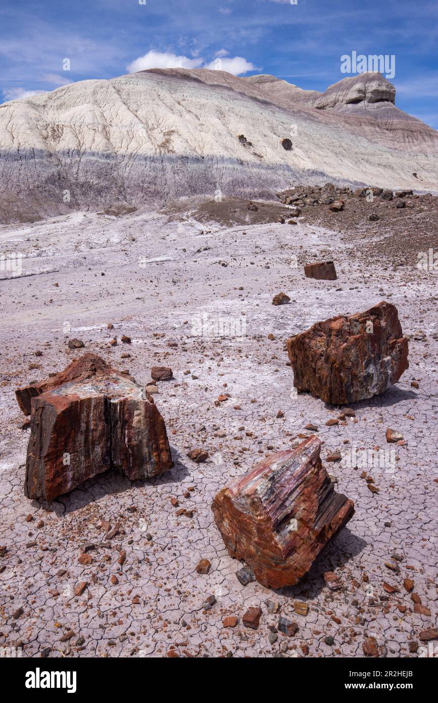 Petrified Forest National Park ist ein amerikanischer Nationalpark im Nordosten Arizonas. Stockfoto
